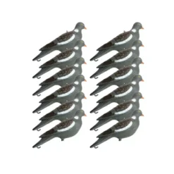 12 Formes De Pigeon Avec Piquet