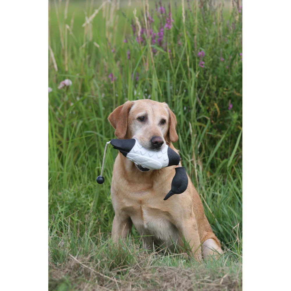 Apportable Morillon Pour Chien De Chasse 4 Apportable Morillon Pour Chien De Chasse – Image 2