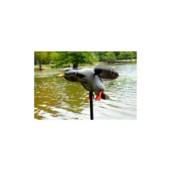 Canard à Ailes Tournantes Mojo King Mallard -Chasse Vêtements Boutique canard a ailes tournantes mojo king mallard 3