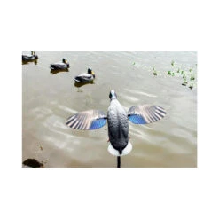 Canard à Ailes Tournantes Mojo King Mallard -Chasse Vêtements Boutique canard a ailes tournantes mojo king mallard 4