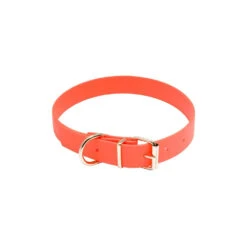 Collier Pour Chien Biothane Orange Country