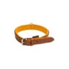 Collier Pour Chien Cuir Country 2 Collier Pour Chien Cuir Country -Chasse Vêtements Boutique collier pour chien cuir