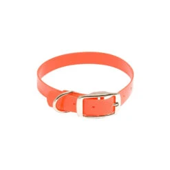 Collier Pour Chien Hiflex Country