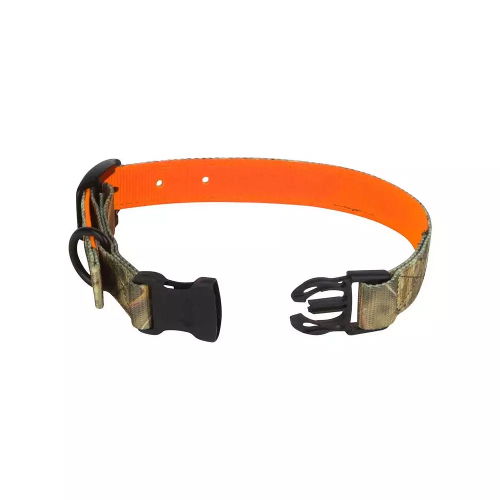 Collier Réversible Pour Chien De Chasse 3 Collier Réversible Pour Chien De Chasse
