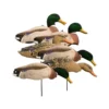 Coquilles Colvert Têtes Floquées Higdon -Chasse Vêtements Boutique coquilles colvert tetes floquees higdon