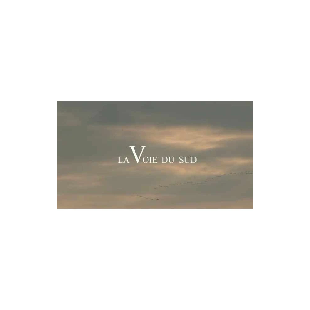 Dvd La Chasse A La Hutte Et Au Gabion Volume IV "La Voie Du Sud 3 Dvd La Chasse A La Hutte Et Au Gabion Volume IV "La Voie Du Sud