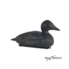 Forme D'eider Noire Magnum