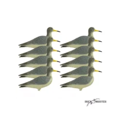 Forme De Chevalier Combattant X10