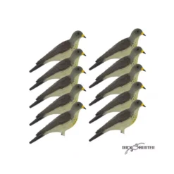 Forme De Grive Litorne X10