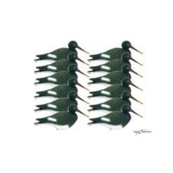 Forme De Pie De Mer X12