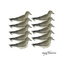 Forme De Pluvier X10