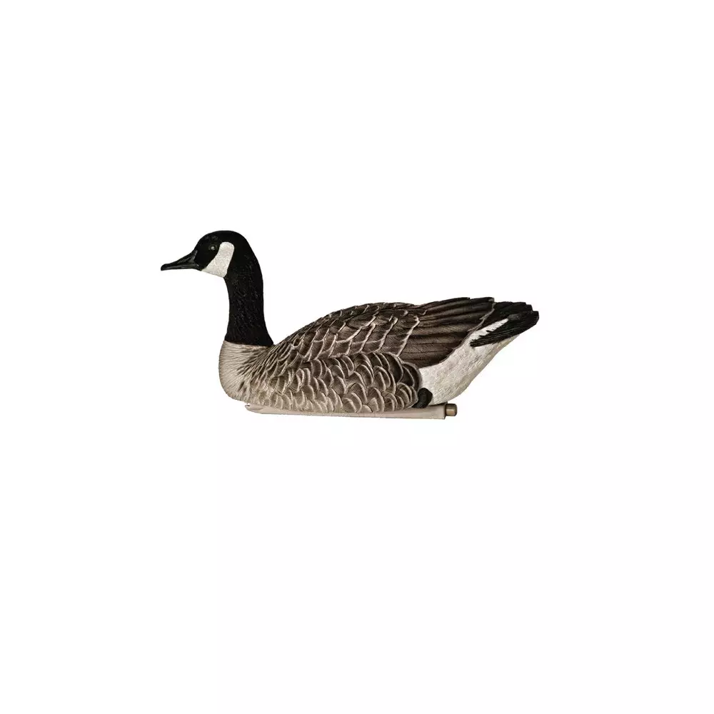 Formes D'oie Bernache Flottante AvianX X4 4 Formes D'oie Bernache Flottante AvianX X4 – Image 2