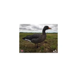 Formes D'oie Cendrée Sur Pattes AvianX X6 13 Formes D'oie Cendrée Sur Pattes AvianX X6 -Chasse Vêtements Boutique formes d oie cendree sur pattes avianx x6 2