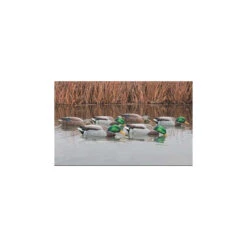Formes De Colvert AvianX Back Water HD -Chasse Vêtements Boutique formes de colvert avianx back water hd 1
