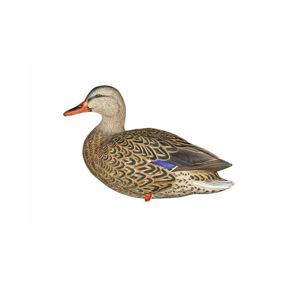 Formes De Colvert Sur Pattes AvianX 7 Formes De Colvert Sur Pattes AvianX – Image 5