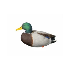 Formes De Colvert Sur Pattes AvianX 14 Formes De Colvert Sur Pattes AvianX -Chasse Vêtements Boutique formes de colvert sur pattes avianx 4