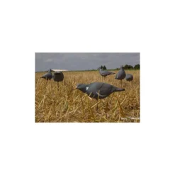 Formes De Pigeon Last Pass X12 -Chasse Vêtements Boutique formes de pigeon last pass x12 2
