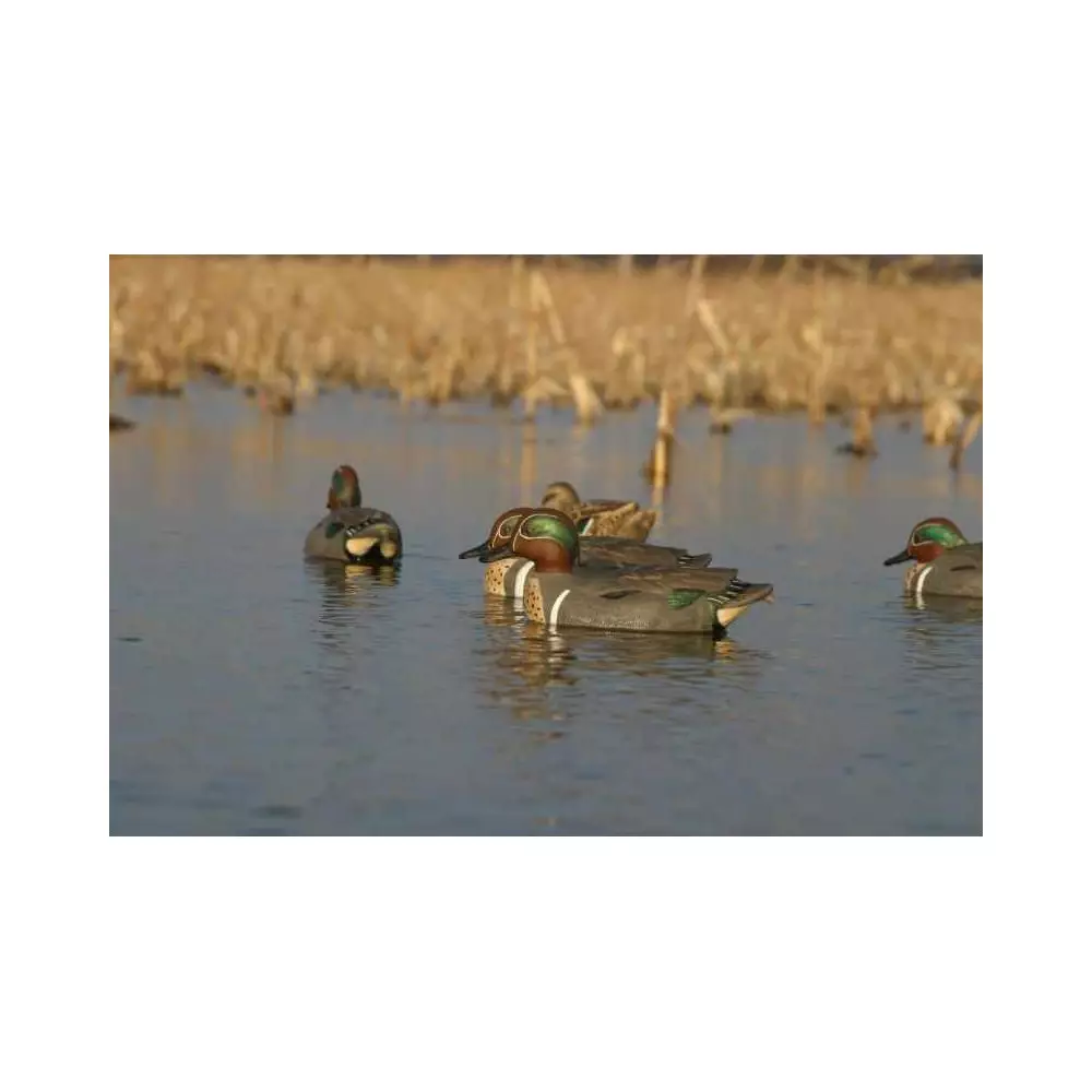 Formes De Sarcelle HD Peinture UVision 4 Formes De Sarcelle HD Peinture UVision – Image 2