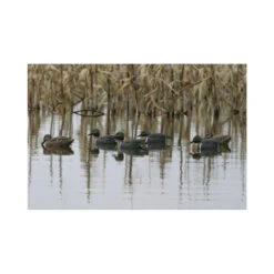 Formes De Sarcelle HD Peinture UVision 14 Formes De Sarcelle HD Peinture UVision -Chasse Vêtements Boutique formes de sarcelle hd peinture uvision 4