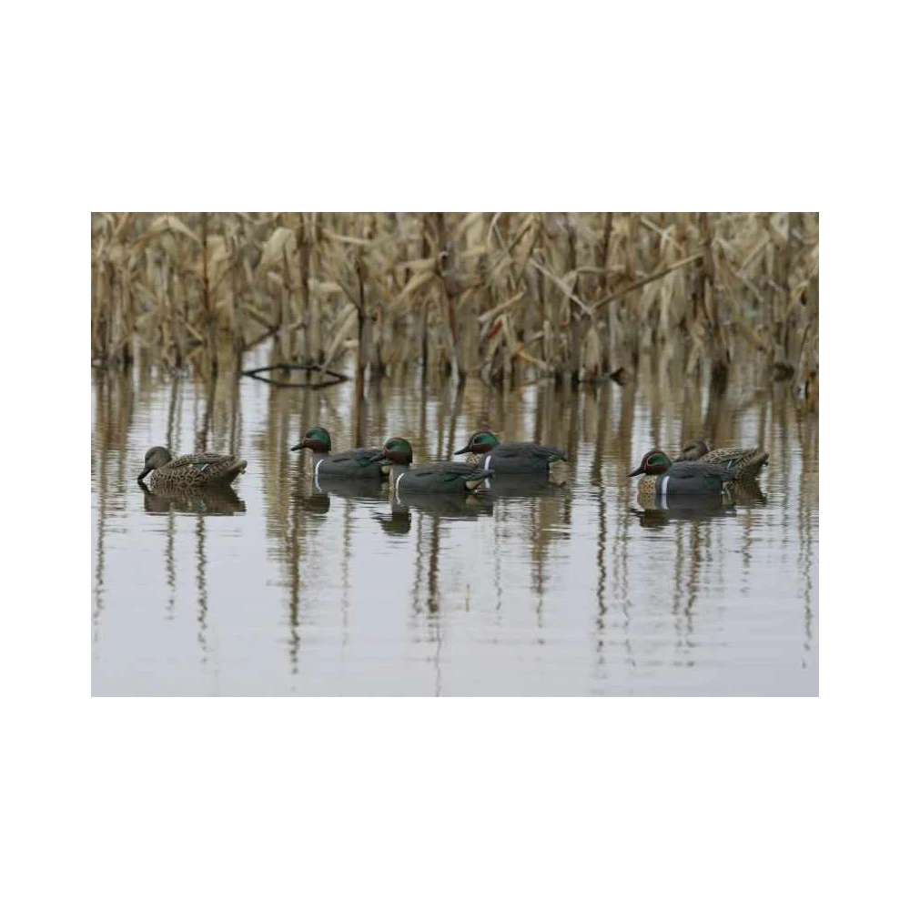 Formes De Sarcelle HD Peinture UVision 7 Formes De Sarcelle HD Peinture UVision – Image 5