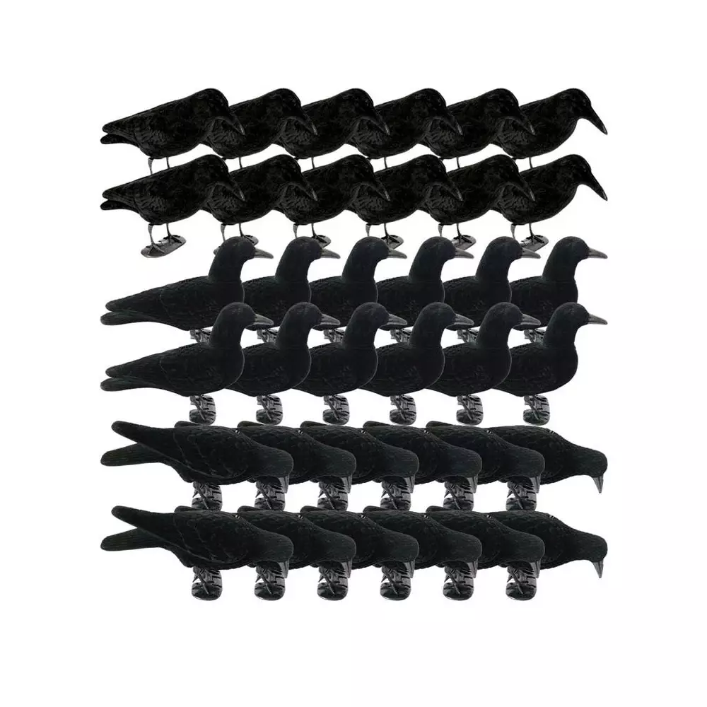 Pack 36 Formes De Corbeaux Floquées 3 Pack 36 Formes De Corbeaux Floquées