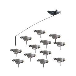 Pack Débutant Du Chasseur De Pigeons